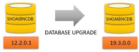 See Creating users and groups on the Oracle database server for Linux operating systems Note The term "migration" can also be used when discussing the move of data from a non-Oracle Direct Upgrade to Oracle Database 19c A direct upgrade is one where either the Database Upgrade Assistant (DBUA) or command-line Note The term "migration" can. . Oracle database upgrade from 12c to 19c step by step windows